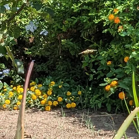 Casa Pietro Casa vacanze Valledoria (Sardinia)